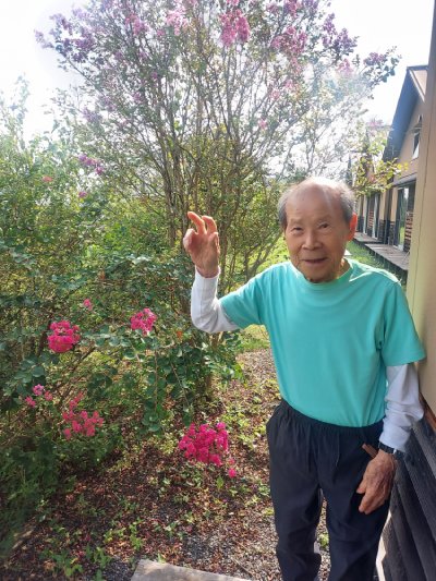 自分の部屋の前に大きな百日紅が咲き、大喜び。