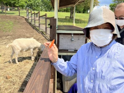 ヤギの餌やり