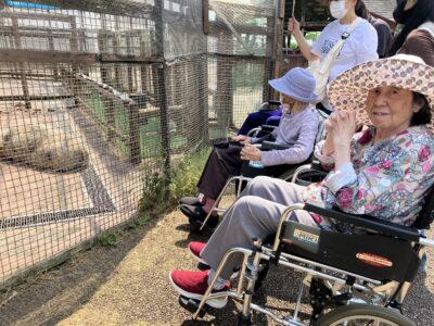 豚や鶏など一通りみて